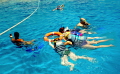   Learn surface divingSHARM elshiekh el-shiekh el shiekh  